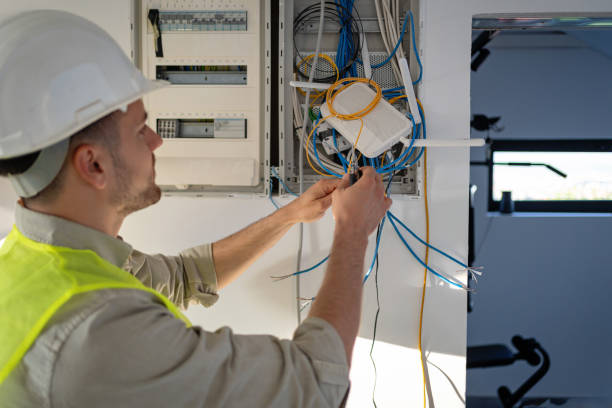 Best Electric Panel Repair  in Balm, FL